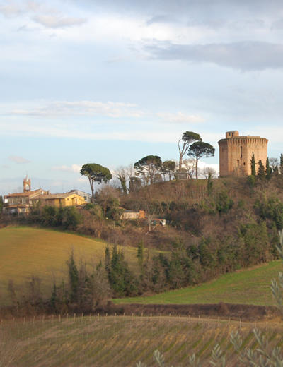 Agriturismo Morattina Castrocaro Terme e Terra del Sole Exterior foto