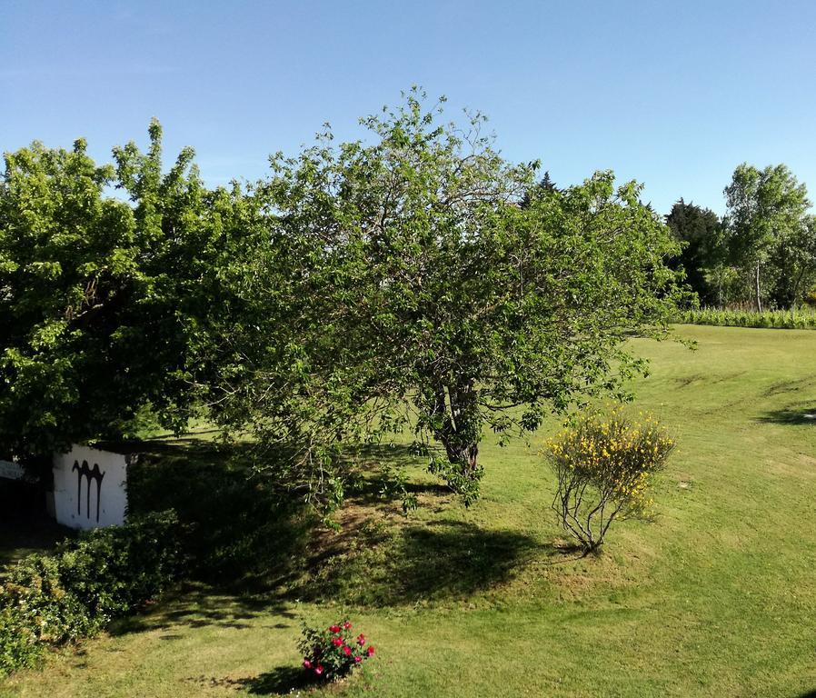 Agriturismo Morattina Castrocaro Terme e Terra del Sole Exterior foto
